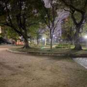 ヒメ日記 2026/03/08 08:40 投稿 とわ 谷町人妻熟女奉仕倶楽部