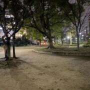 ヒメ日記 2026/03/08 16:21 投稿 とわ 谷町人妻熟女奉仕倶楽部