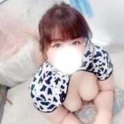 ヒメ日記 2026/06/05 19:50 投稿 とわ 谷町人妻熟女奉仕倶楽部