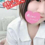 ヒメ日記 2025/11/22 01:22 投稿 とわ マダムン谷九