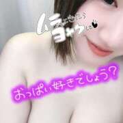 ヒメ日記 2025/12/26 19:02 投稿 とわ マダムン谷九