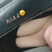 ヒメ日記 2026/01/30 10:32 投稿 とわ マダムン谷九