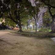 ヒメ日記 2026/03/08 14:03 投稿 とわ マダムン谷九