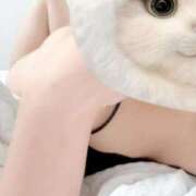 ヒメ日記 2026/04/21 17:09 投稿 CHIAKI『チアキ』 GG