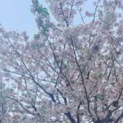 ヒメ日記 2026/03/19 15:23 投稿 なお 五反田・品川おかあさん