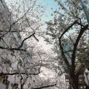 ヒメ日記 2026/03/30 10:03 投稿 なお 五反田・品川おかあさん