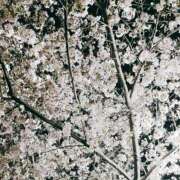 なお 3.31ありがとうございました♡ 五反田・品川おかあさん