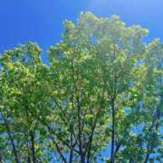 なお 出勤しました♡ 五反田・品川おかあさん