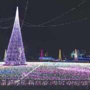 ヒメ日記 2025/11/18 12:30 投稿 くるみ ファーストレディ(博多)