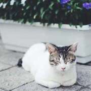 ヒメ日記 2025/09/24 16:27 投稿 つむぎ 岐阜岐南各務原ちゃんこ