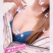 ヒメ日記 2025/09/05 12:04 投稿 神崎きょうか セレブ Rex