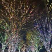 ヒメ日記 2025/12/22 11:59 投稿 神原 凛果 東京貴楼館