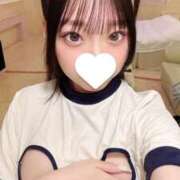 ヒメ日記 2025/09/08 18:40 投稿 ぴの 今こそ!にゃんにゃん学園