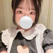 ヒメ日記 2025/10/11 21:02 投稿 ぴの 今こそ!にゃんにゃん学園