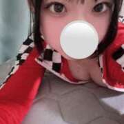 ヒメ日記 2025/10/12 12:02 投稿 ぴの 今こそ!にゃんにゃん学園