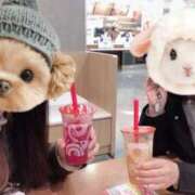 ヒメ日記 2026/04/18 21:27 投稿 ひろみ NEW GENERATION