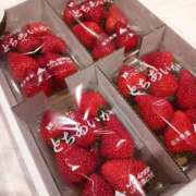 ヒメ日記 2026/03/22 20:20 投稿 ゆうこ 東京人妻セレブリティ（ユメオト）