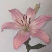 ヒメ日記 2026/03/02 10:17 投稿 にこ 吉原ファーストレディ