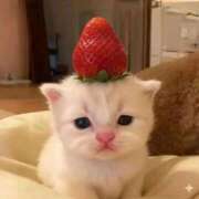 にこ お久しぶりです💧 吉原ファーストレディ