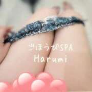 ヒメ日記 2026/03/23 11:43 投稿 はるみ ごほうびSPA 大阪店