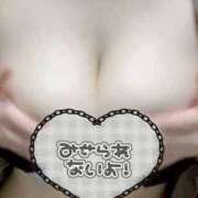 ヒメ日記 2025/11/14 22:15 投稿 うに 美少女コレクション(福生)