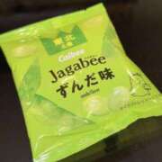 ヒメ日記 2026/04/04 07:33 投稿 こむぎ★経験極少の敏感清楚美人 Bell～S級美女お姉様・人妻デリヘル～