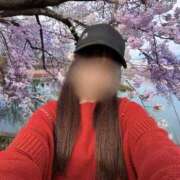 ヒメ日記 2026/04/14 22:13 投稿 こむぎ★経験極少の敏感清楚美人 Bell～S級美女お姉様・人妻デリヘル～