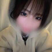 ヒメ日記 2026/04/15 05:40 投稿 こむぎ★経験極少の敏感清楚美人 Bell～S級美女お姉様・人妻デリヘル～