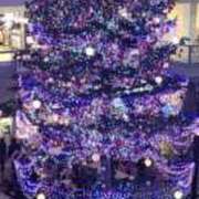 ヒメ日記 2025/12/24 00:19 投稿 みお 完熟ばなな札幌・すすきの