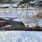 ヒメ日記 2025/12/29 12:09 投稿 みお 完熟ばなな札幌・すすきの