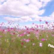 ヒメ日記 2025/10/29 09:50 投稿 新人きよか 夢心地