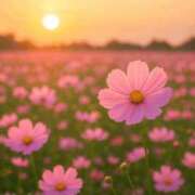 ヒメ日記 2025/11/04 21:20 投稿 新人きよか 夢心地