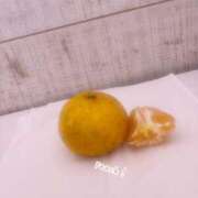 ヒメ日記 2025/11/06 10:36 投稿 新人きよか 夢心地