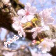 ヒメ日記 2026/04/21 12:57 投稿 新人きよか 夢心地