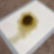 ヒメ日記 2025/09/15 12:17 投稿 えま 排泄マニア