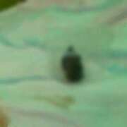 ヒメ日記 2025/09/22 18:48 投稿 えま 排泄マニア