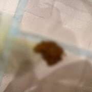 ヒメ日記 2025/09/23 13:46 投稿 えま 排泄マニア