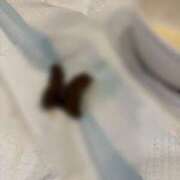 ヒメ日記 2025/09/27 19:15 投稿 えま 排泄マニア