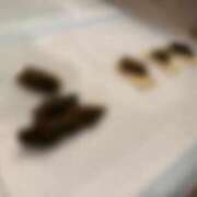 ヒメ日記 2025/10/07 14:22 投稿 えま 排泄マニア