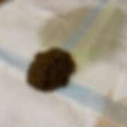 ヒメ日記 2025/10/11 13:16 投稿 えま 排泄マニア