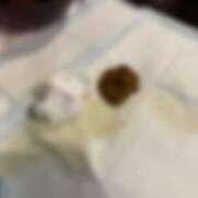 ヒメ日記 2025/10/15 17:14 投稿 えま 排泄マニア