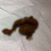 ヒメ日記 2025/12/14 17:02 投稿 えま 排泄マニア