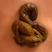 ヒメ日記 2025/12/26 14:13 投稿 えま 排泄マニア