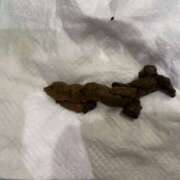 ヒメ日記 2026/01/05 13:23 投稿 えま 排泄マニア