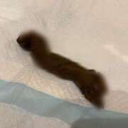 ヒメ日記 2026/01/21 19:29 投稿 えま 排泄マニア