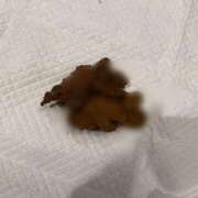 ヒメ日記 2026/03/11 12:05 投稿 えま 排泄マニア