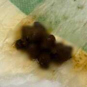 ヒメ日記 2026/03/12 23:05 投稿 えま 排泄マニア