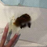 ヒメ日記 2026/03/19 12:39 投稿 えま 排泄マニア