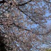 ヒメ日記 2026/03/25 11:38 投稿 えま 排泄マニア