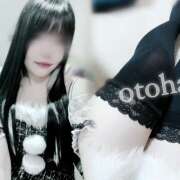 ヒメ日記 2025/12/23 08:53 投稿 おとは れもんガールズ